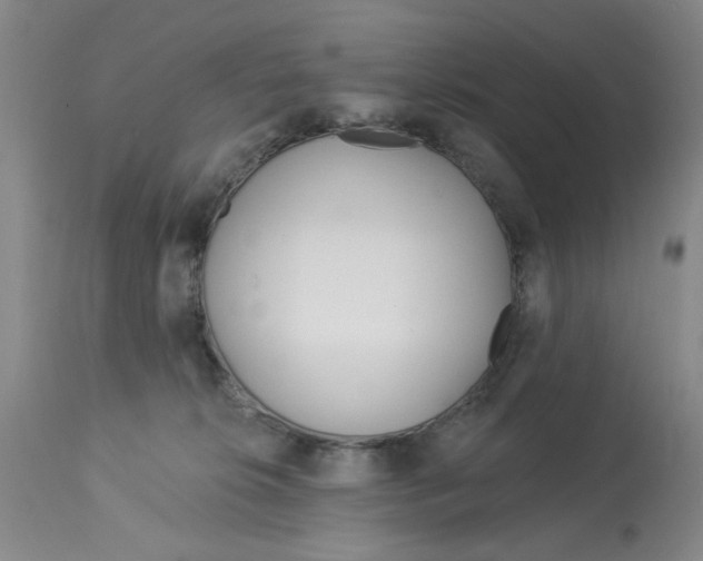 X0000113160276200909251400