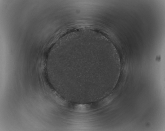 X0000113160277200909251400