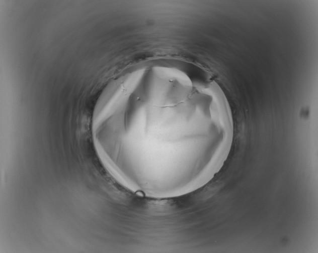 X0000113160281200909251400