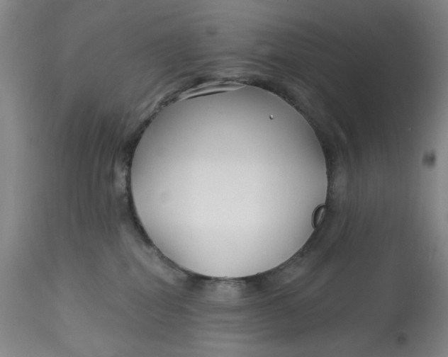 X0000113160282200909251400