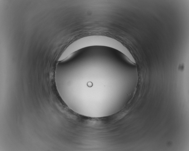 X0000113160284200909251400