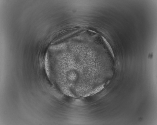 X0000113160285200909251400