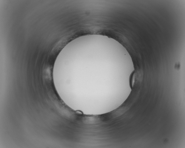 X0000113160286200909251400