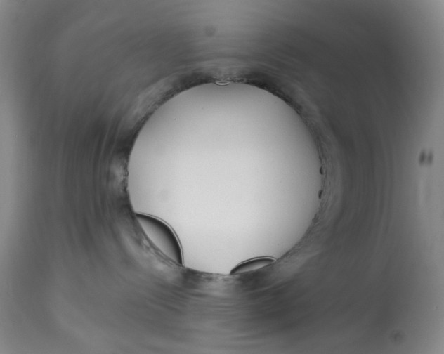 X0000113160288200909251400