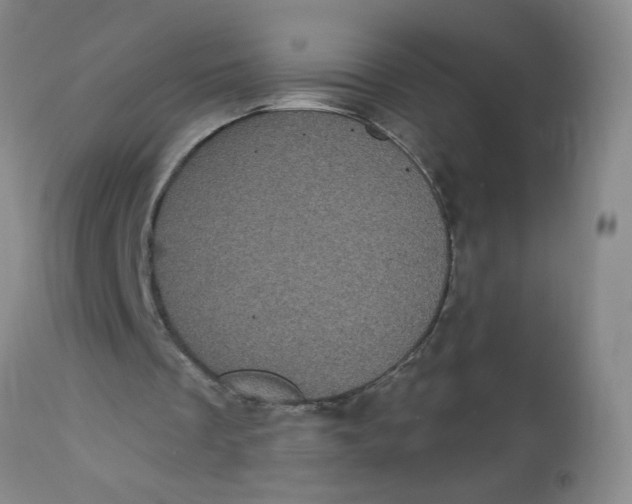 X0000113160289200909251359