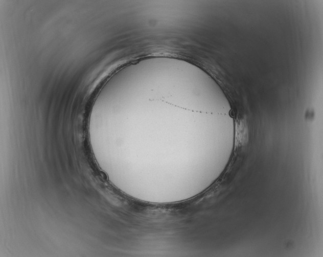 X0000113160291200909251359