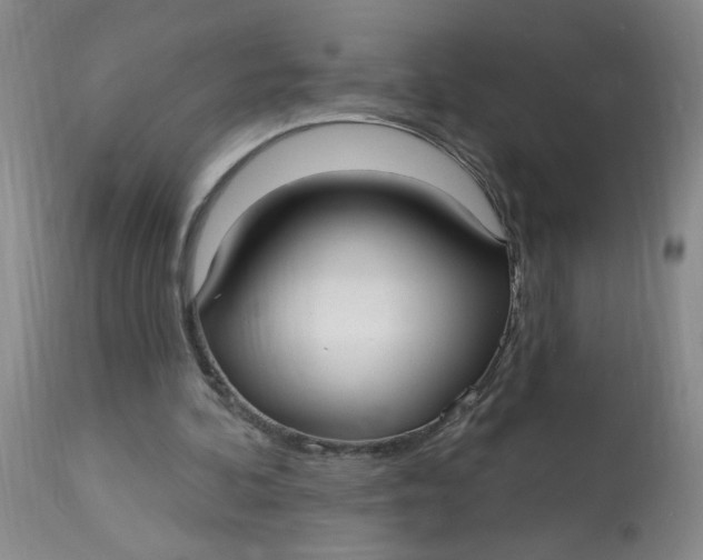 X0000113160292200909251359