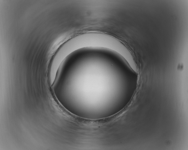 X0000113160293200909251359