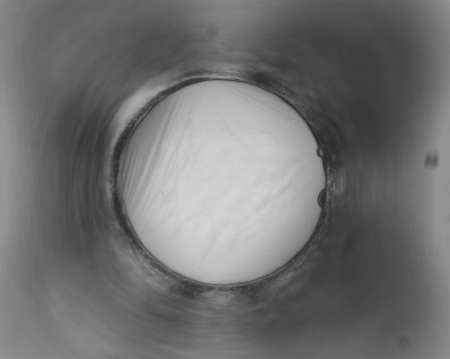 X0000113160294200909251359