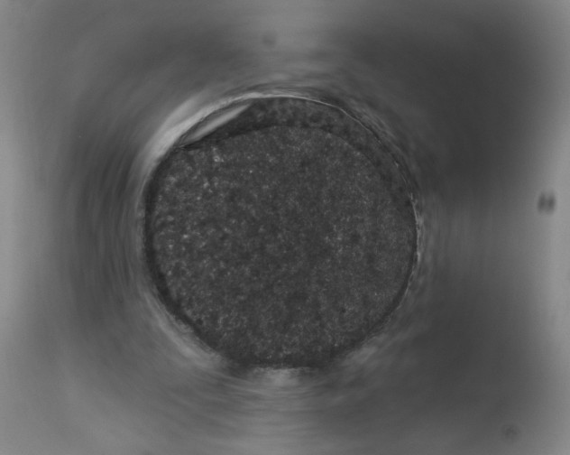 X0000113160295200909251359