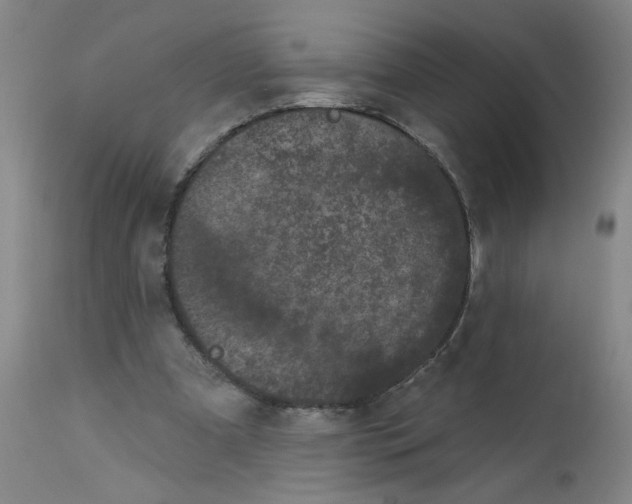 X0000113160297200909251359