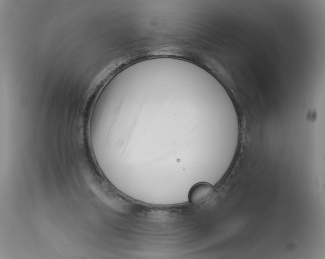 X0000113160298200909251359