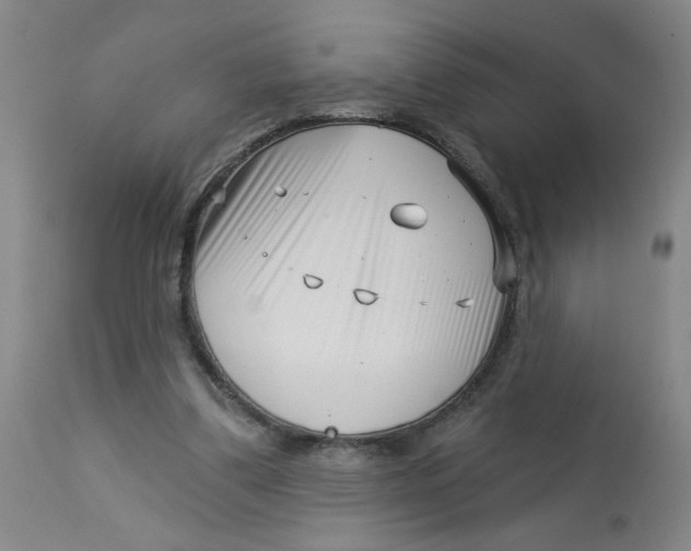 X0000113160299200909251359