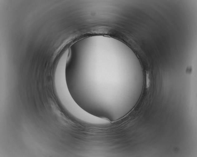 X0000113160300200909251359