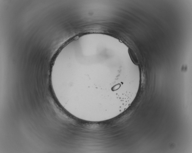 X0000113160301200909251359