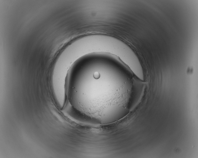 X0000113160302200909251359