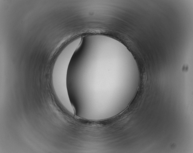 X0000113160304200909251359