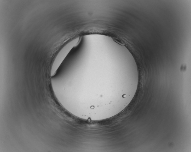 X0000113160309200909251359