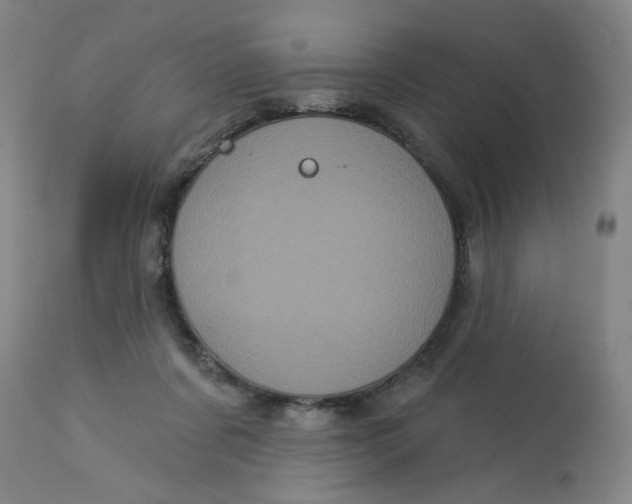 X0000113160311200909251359