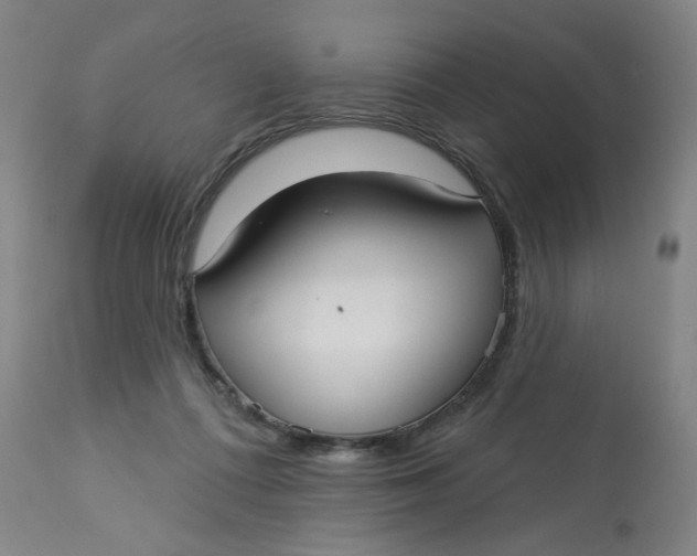 X0000113160312200909251359