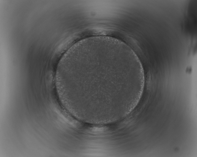 X0000113160314200909251359