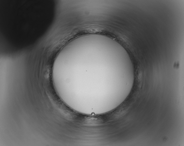 X0000113160315200909251359