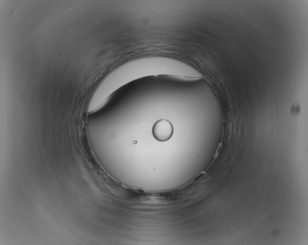 X0000113160316200909251359