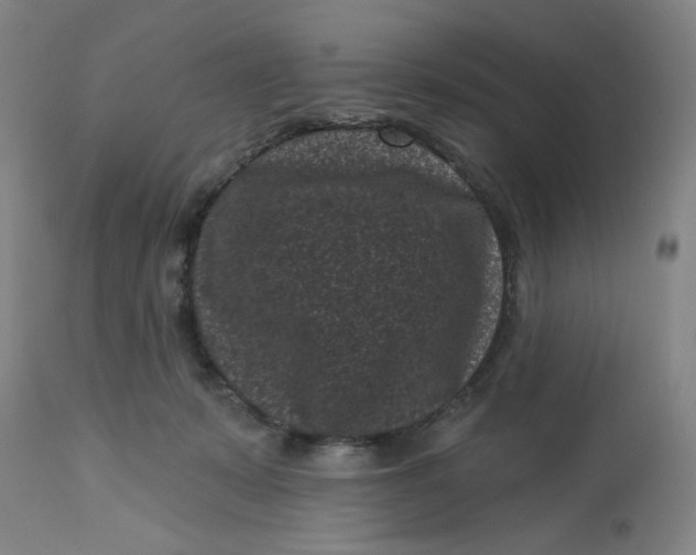 X0000113160319200909251359