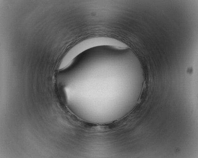 X0000113160320200909251359