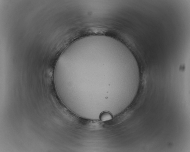 X0000113160321200909251359