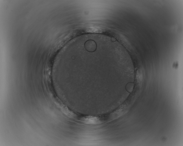 X0000113160322200909251359