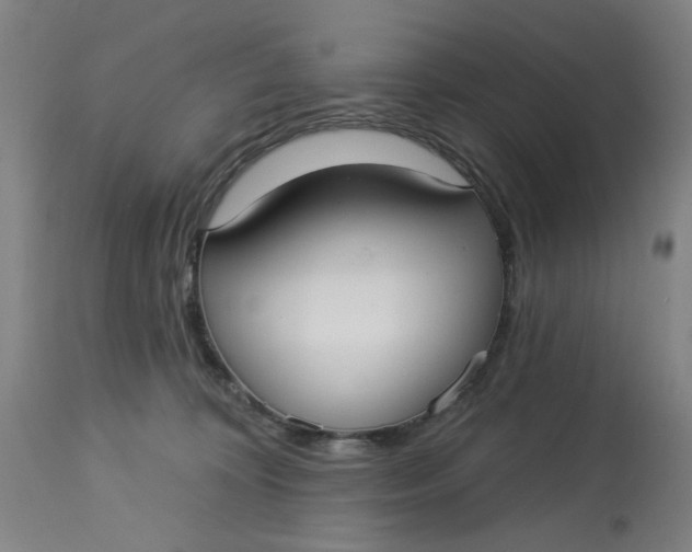 X0000113160324200909251359