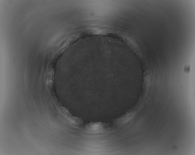 X0000113160325200909251359