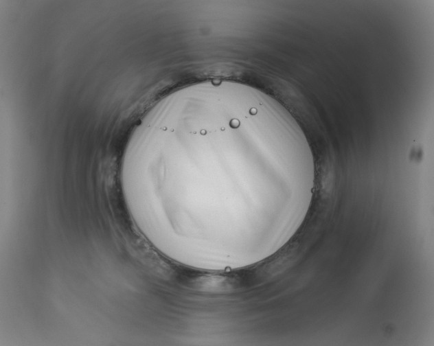 X0000113160326200909251359