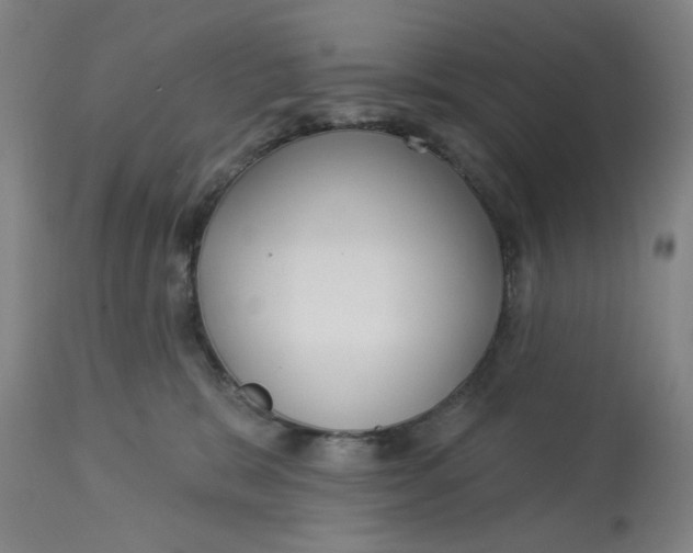 X0000113160327200909251359