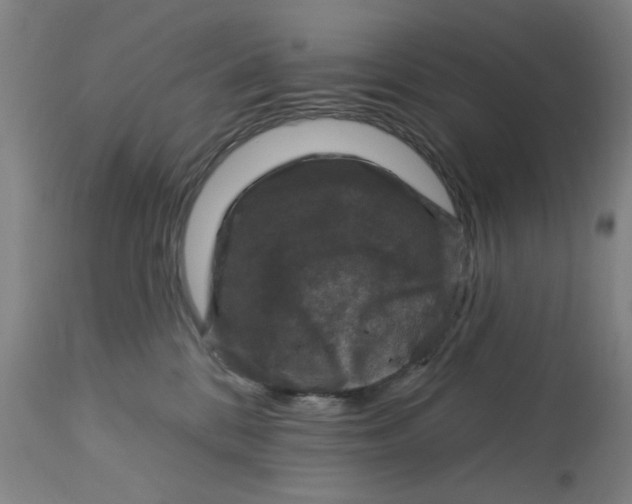 X0000113160328200909251358