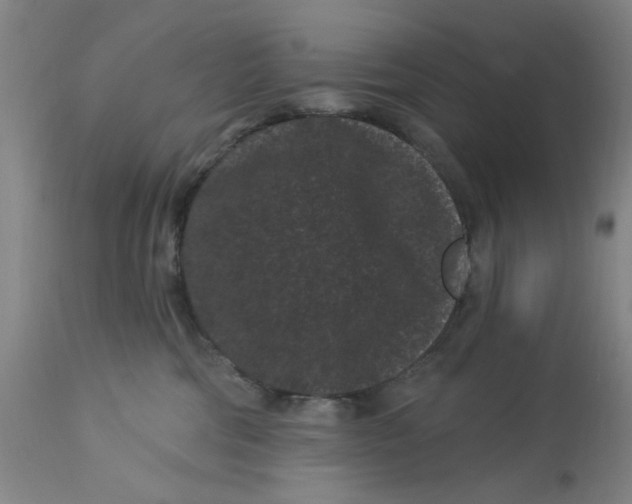 X0000113160330200909251358