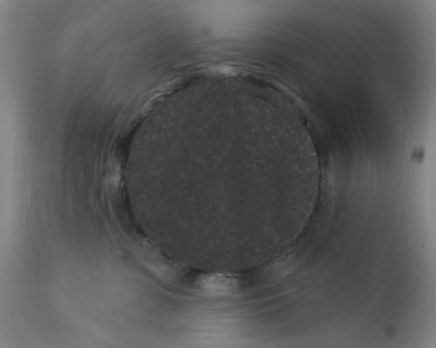 X0000113160331200909251358