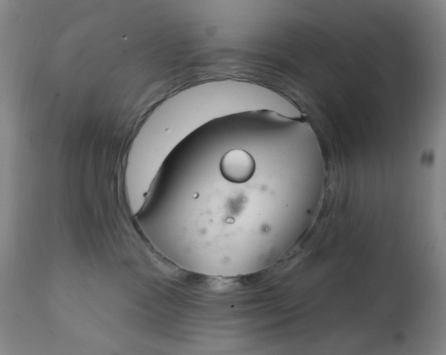 X0000113160333200909251358