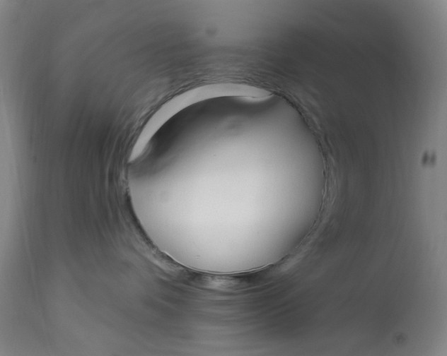 X0000113160336200909251358