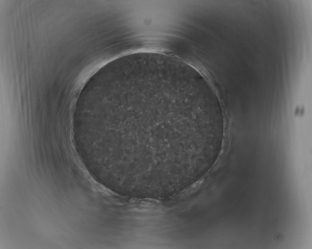 X0000113160337200909251357