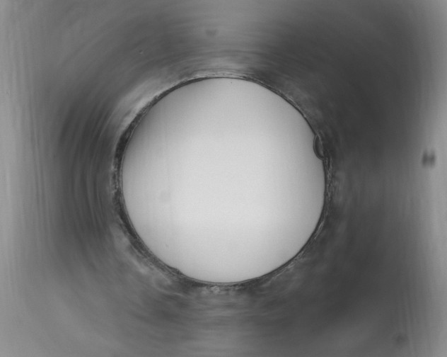 X0000113160338200909251357