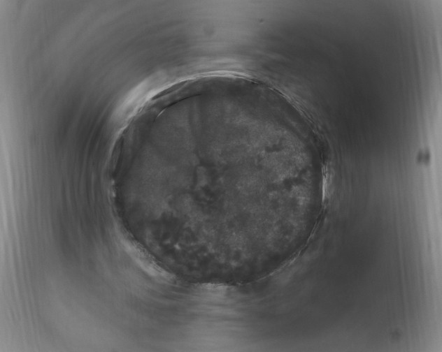 X0000113160339200909251357