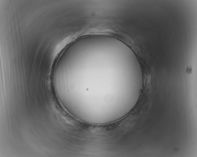 X0000113160340200909251357