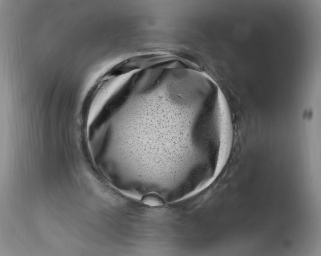 X0000113160342200909251357