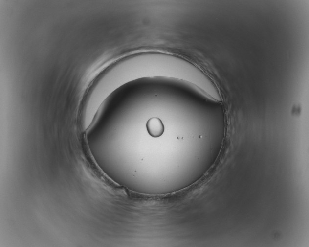 X0000113160344200909251357