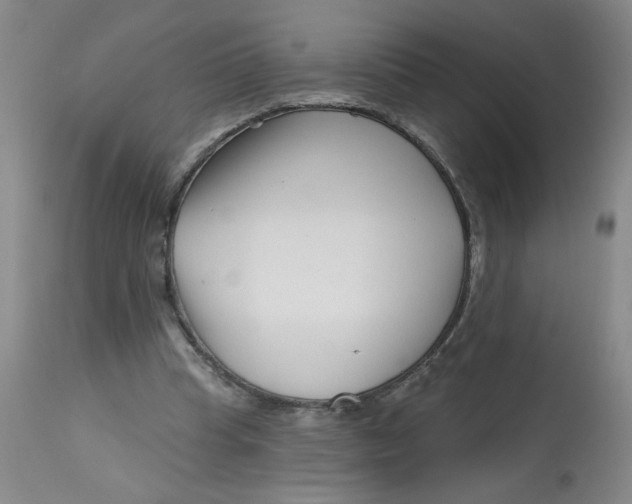 X0000113160345200909251357