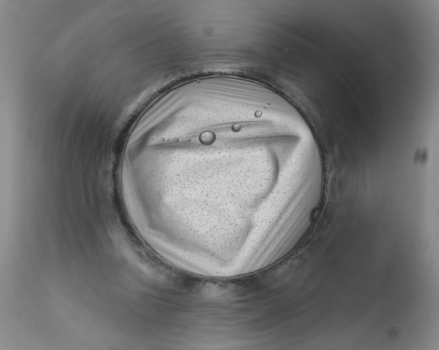 X0000113160346200909251358