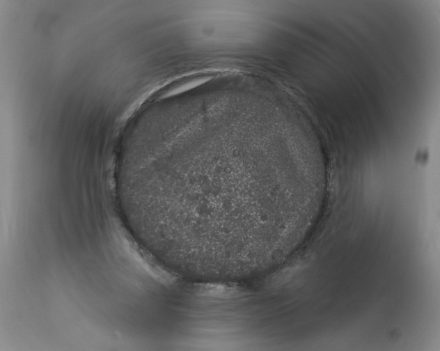 X0000113160347200909251358