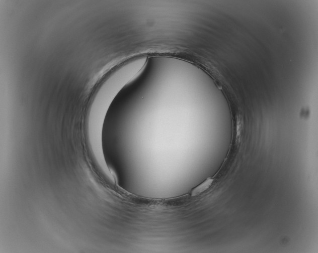 X0000113160348200909251358